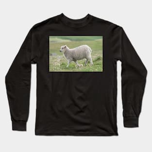 Shetland lamb Long Sleeve T-Shirt